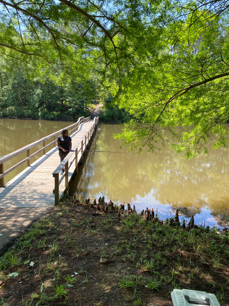 A man is standing on a wooden bridge over a body of water.