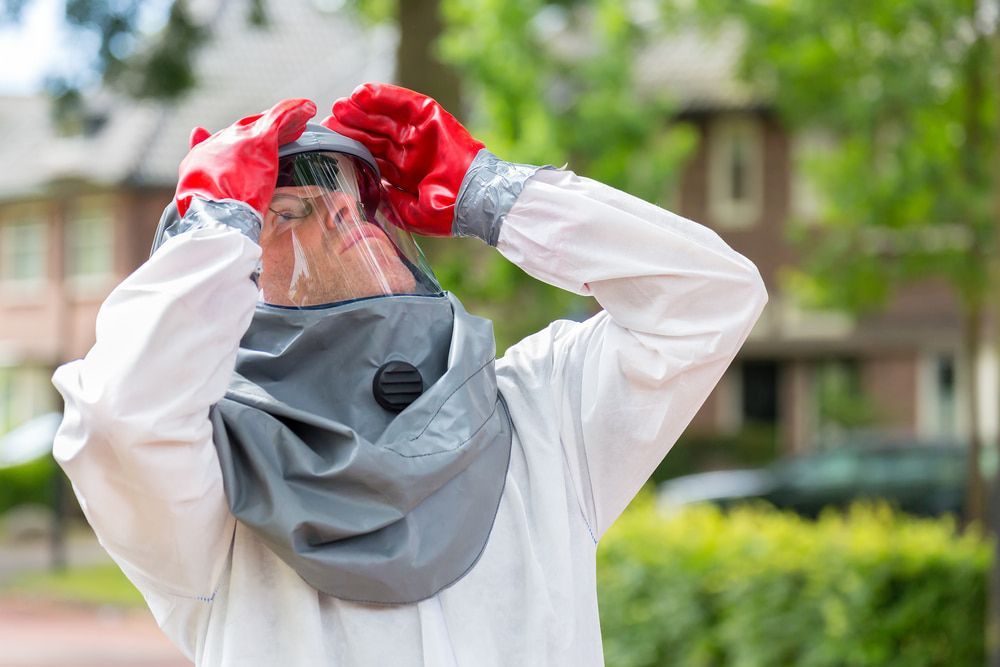 A Man Wearing A Bee Suit And Red Gloves Is Taking A Picture Of Himself — Maximum Pest Management In Cairns, QLD