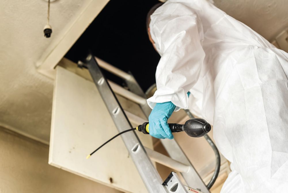 A Man In A Protective Suit Is Standing On A Ladder Holding A Hose — Maximum Pest Management In Mareeba, QLD