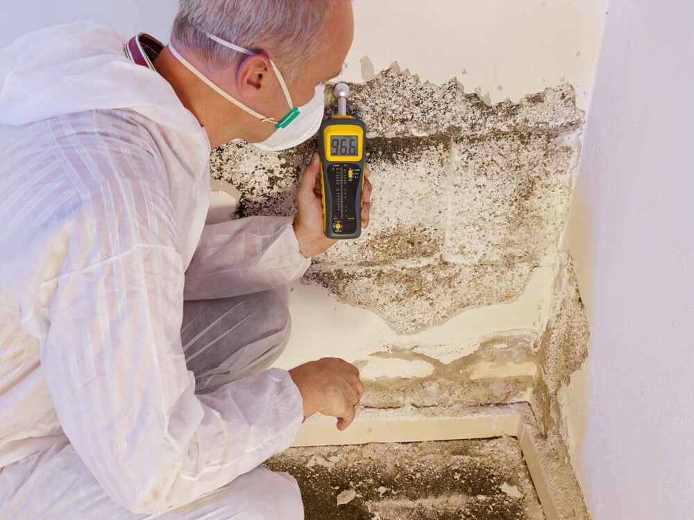 A Man In A White Suit Is Kneeling Down And Looking At Mold On A Wall — Maximum Pest Management In Mareeba, QLD