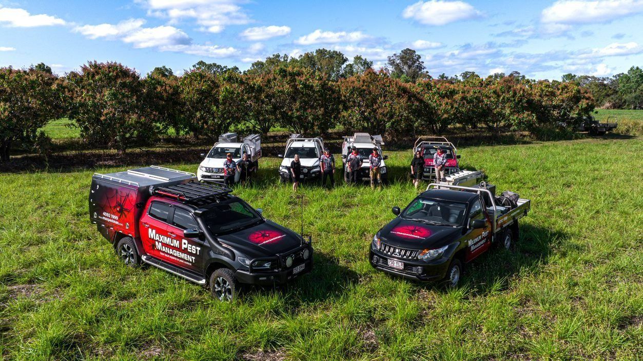 A group of trucks are parked in a grassy field — Maximum Pest Management In Mareeba, QLD