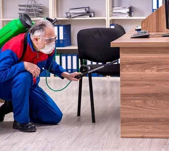 A Man Wearing A Mask Is Spraying A Chair In An Office — Maximum Pest Management In Mareeba, QLD
