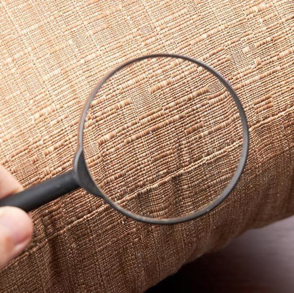 A Person Is Holding A Magnifying Glass Over A Piece Of Fabric — Maximum Pest Management In Mareeba, QLD