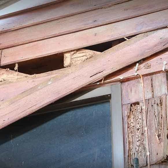 A Close Up Of A Wooden Wall With A Hole In It — Maximum Pest Management In Mareeba, QLD