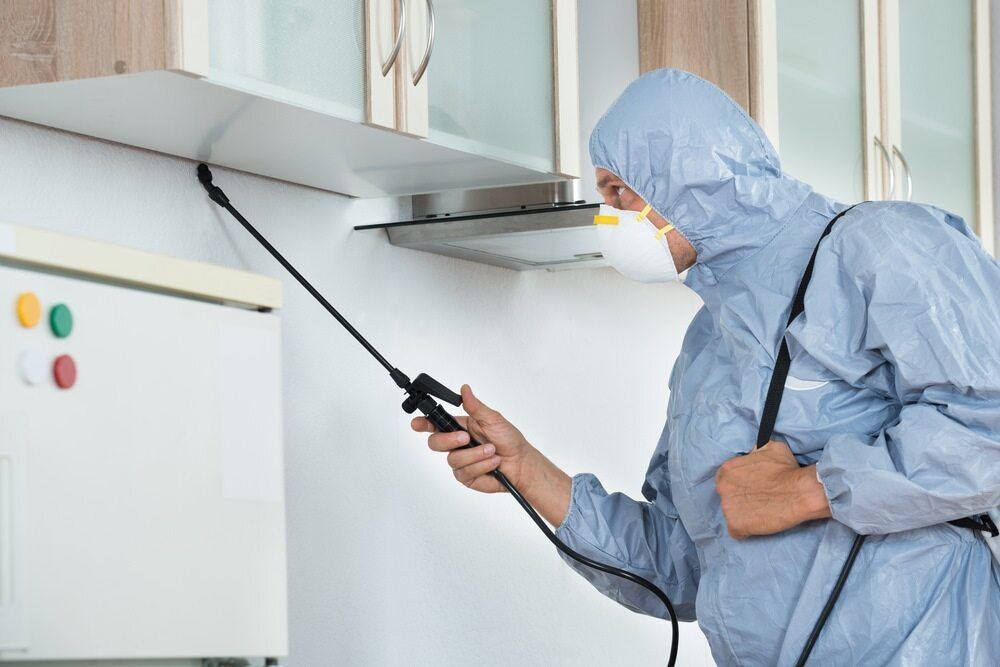 A Man In A Protective Suit Is Spraying A Kitchen With A Sprayer — Maximum Pest Management In Mareeba, QLD