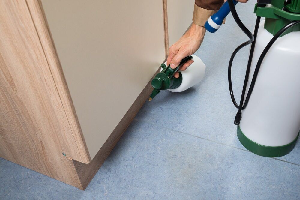 A Person Is Spraying A Cabinet With A Spray Bottle — Maximum Pest Management In Tablelands, QLD