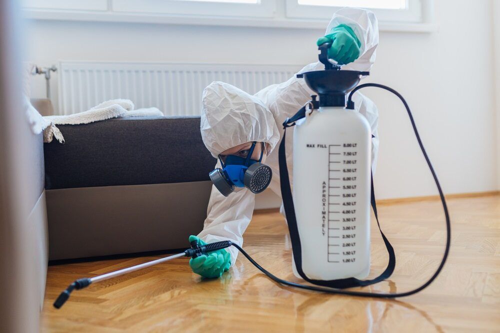 A Person In A Protective Suit Is Spraying A Room With A Sprayer — Maximum Pest Management In Mareeba, QLD