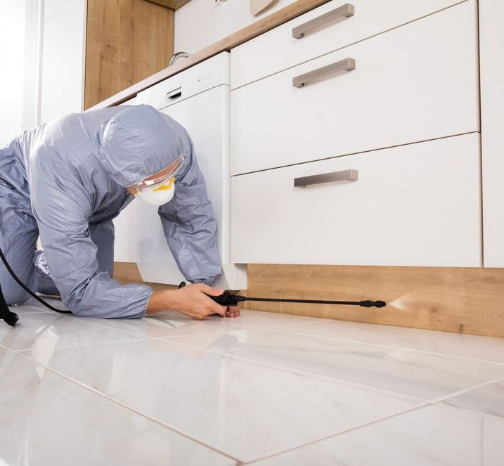 A Man In A Protective Suit Is Spraying A Kitchen Floor With A Sprayer — Maximum Pest Management In Mareeba, QLD