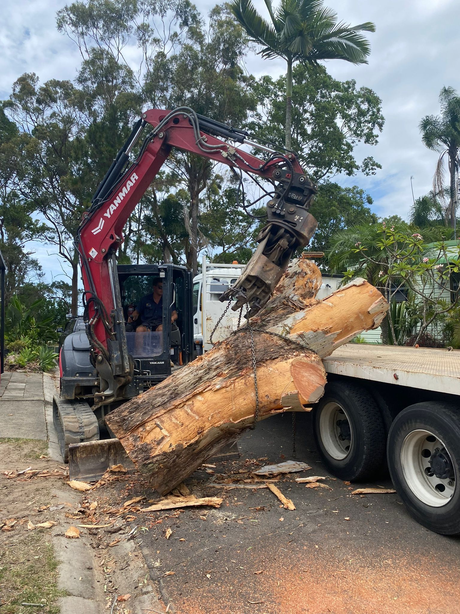 Tree Removal Gold Coast - Qualified Arborists - Viking Tree Care