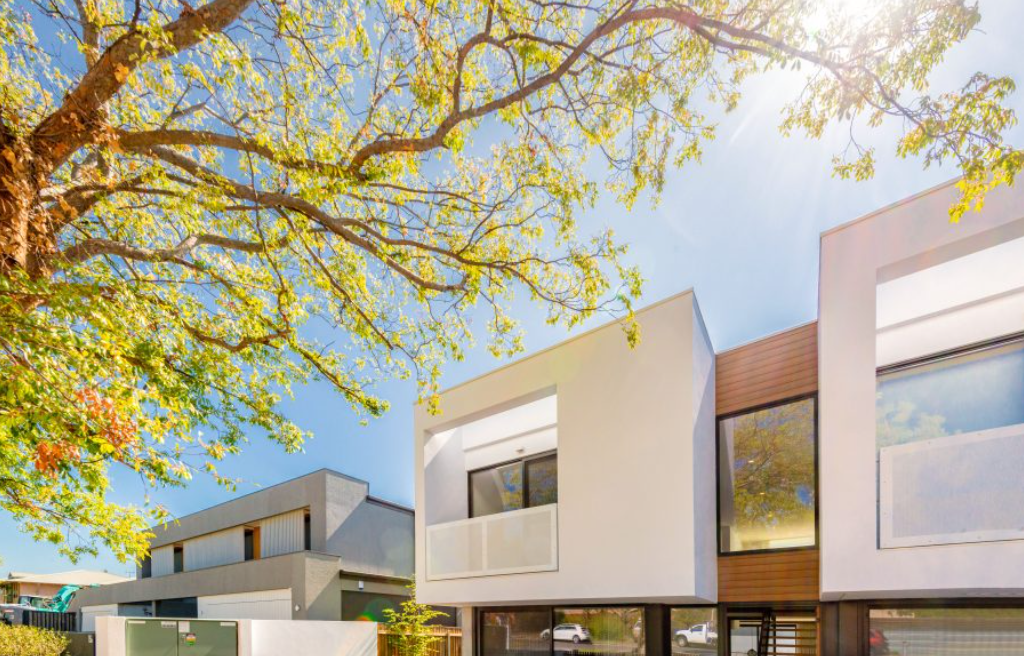 Modern apartment buildings with large windows under leafy tree branches in bright sunlight