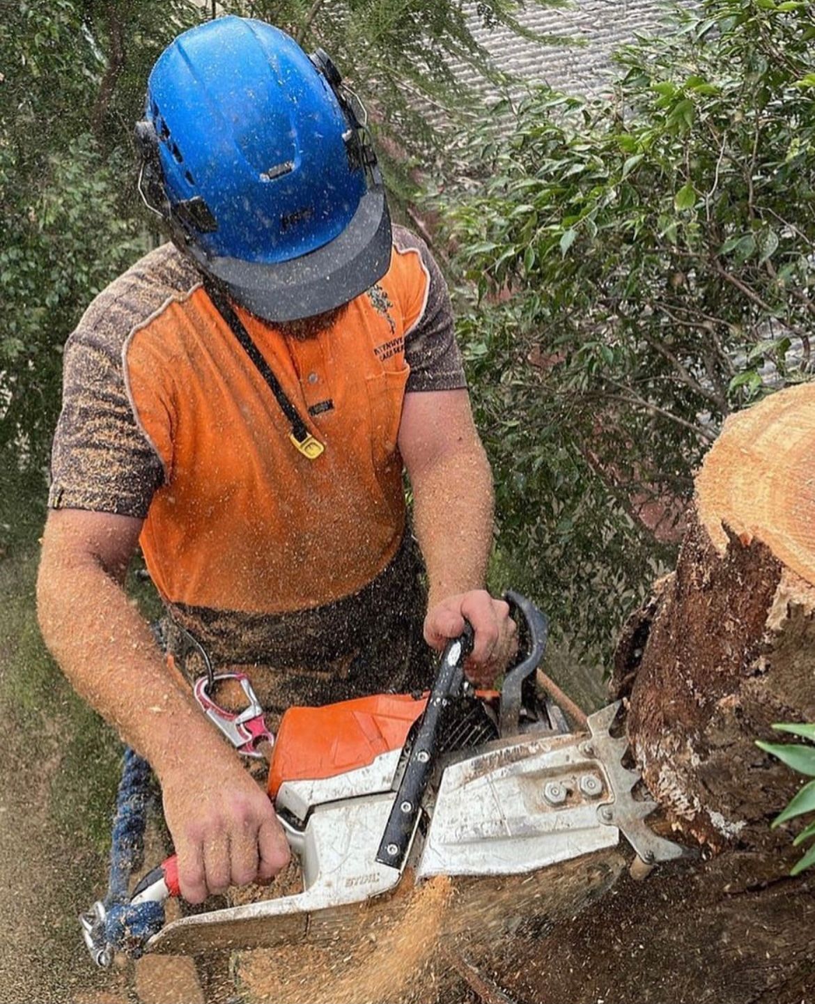 Worker in blue hard hat using a chainsaw to cut a tree trunk outdoors