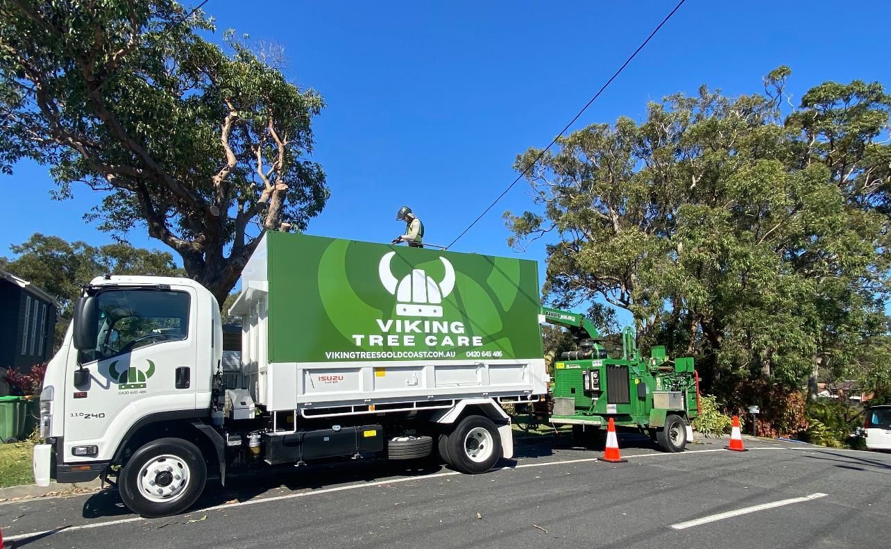 Green tree care truck parked on a sunny street with trees and orange cones nearby.