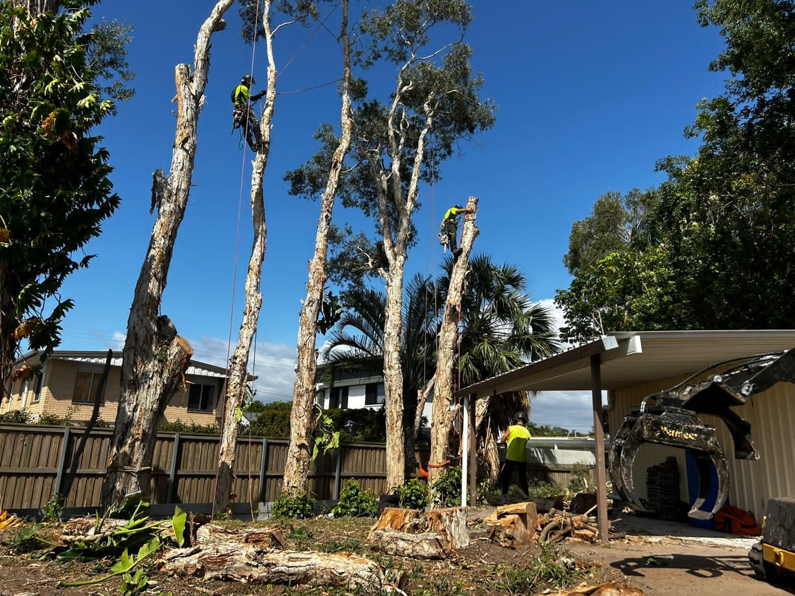 Several trimmed trees in a backyard beside a carport, with a worker in a yellow vest under a blue sky.