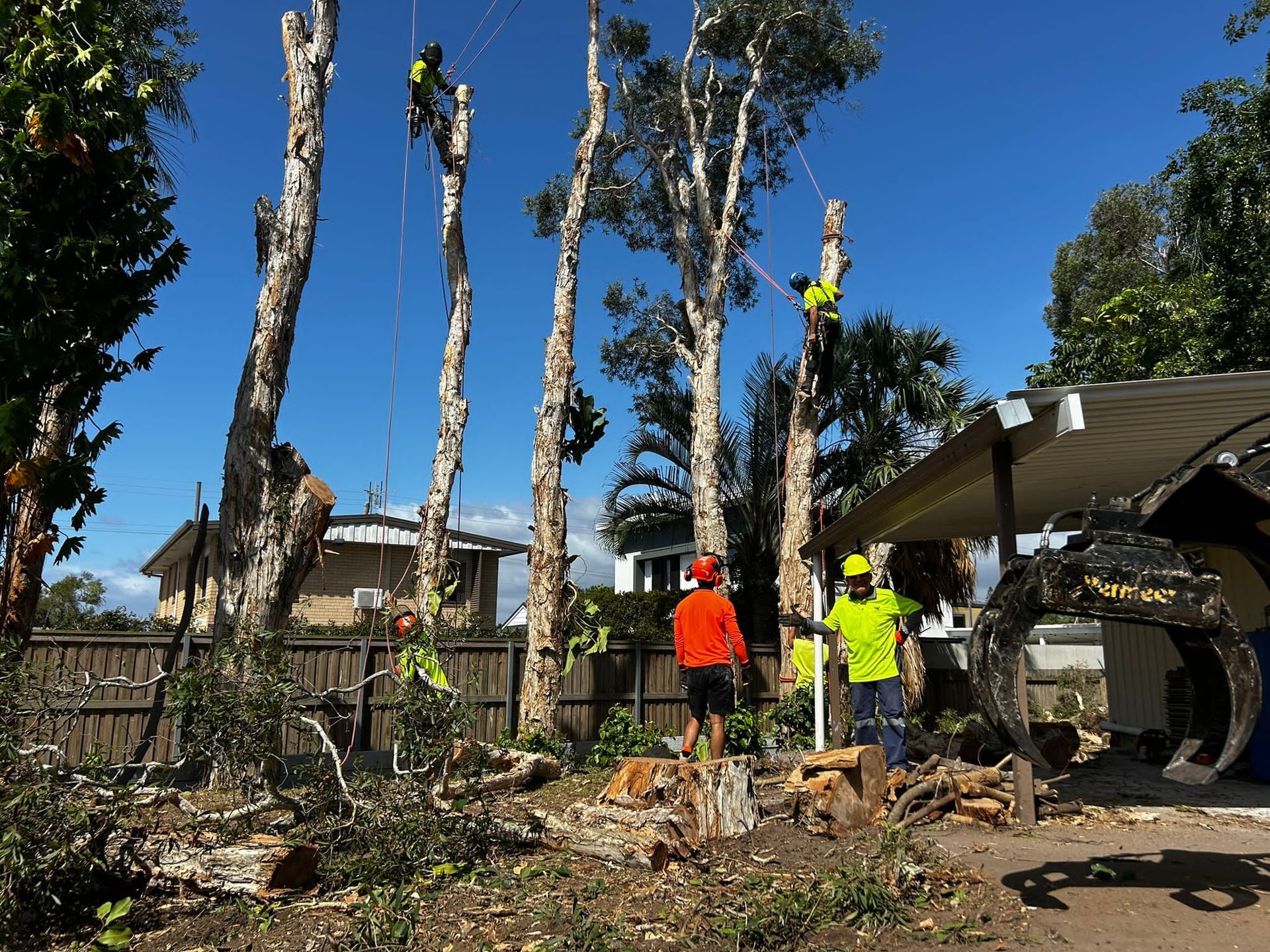 Workers clearing debris around damaged trees and a collapsed structure in a sunny outdoor yard