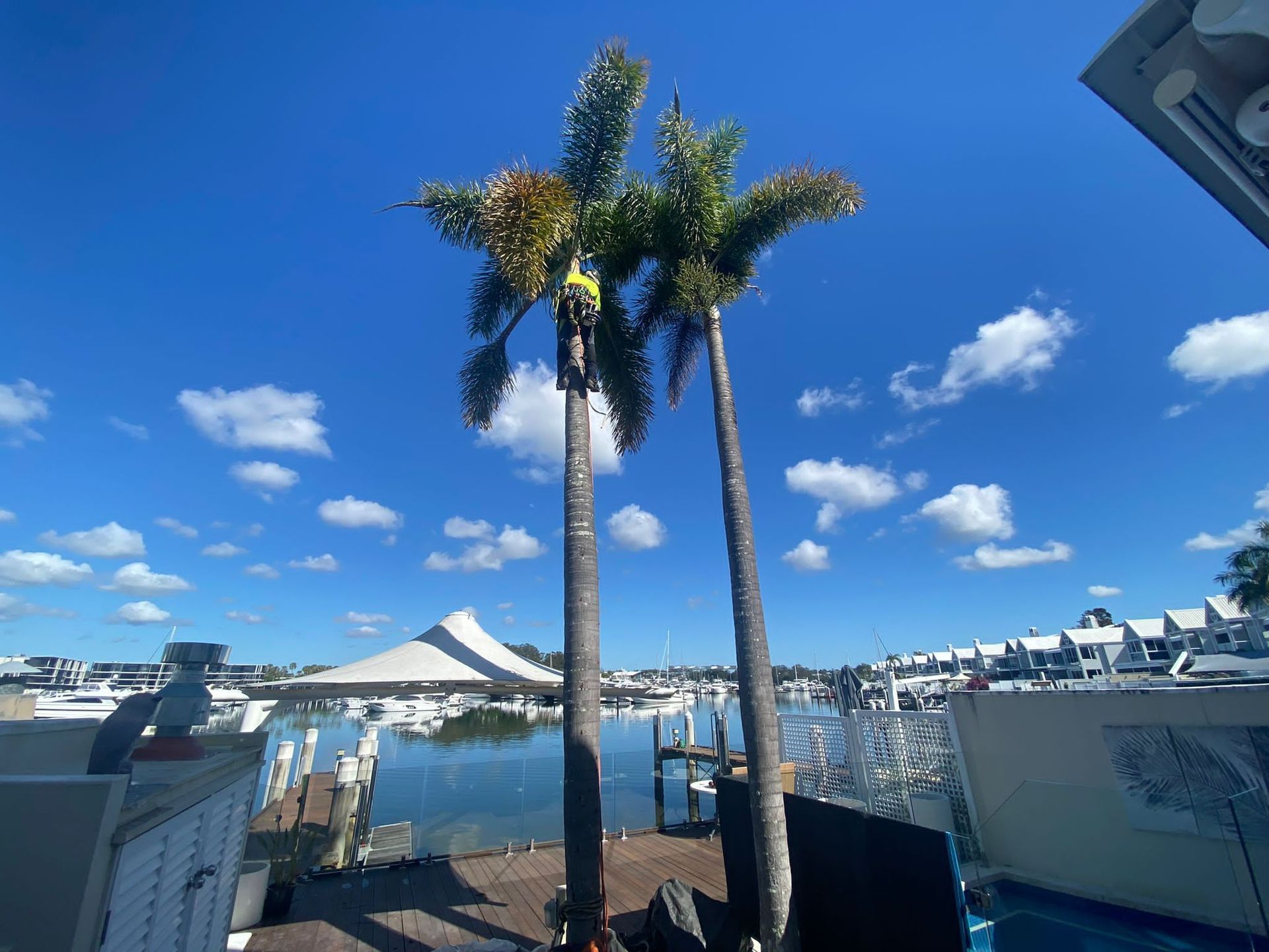 Tropical marina with palm trees, blue sky, and boats docked by a waterfront deck.