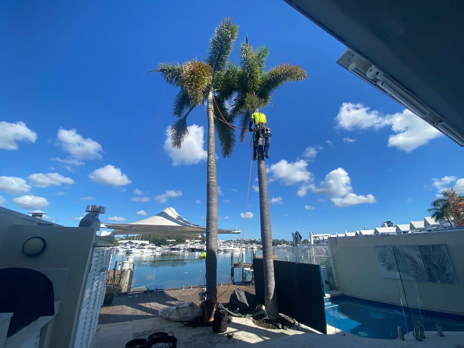 Palm trees by a blue pool with ocean and sky in the background