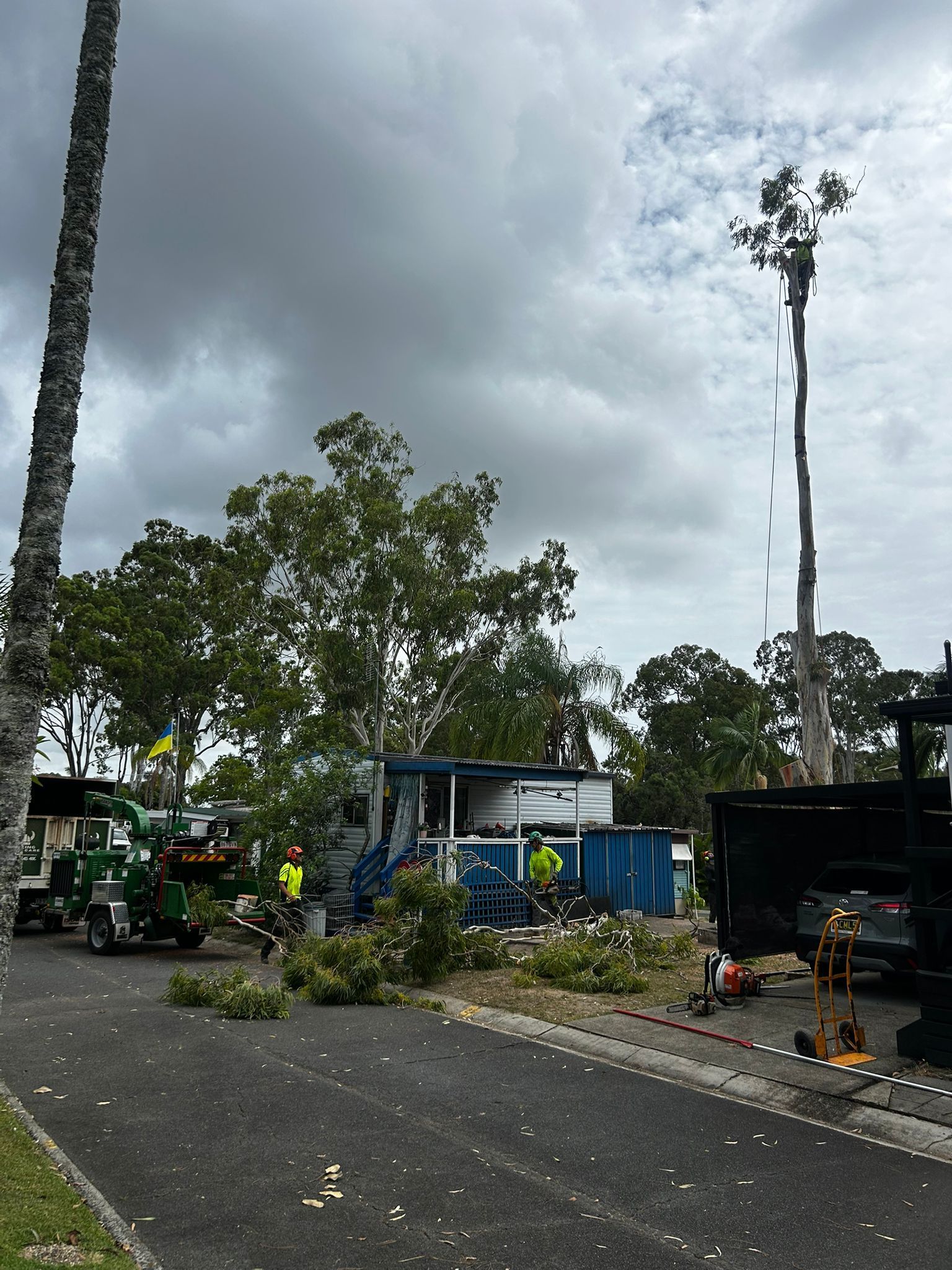 Storm damage cleanup with fallen tree branches across a road, workers and equipment nearby under cloudy skies
