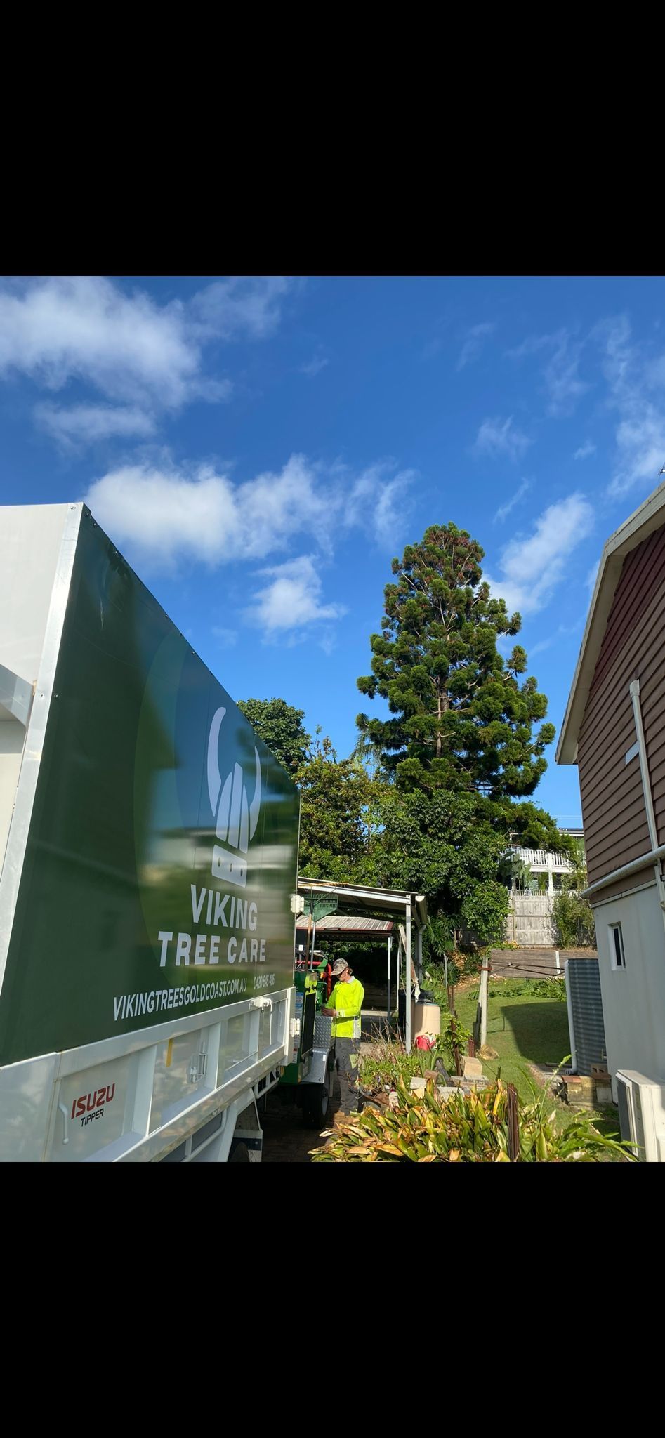 Outdoor garden path beside a glass building and brick wall under a blue sky, with a tall evergreen tree.