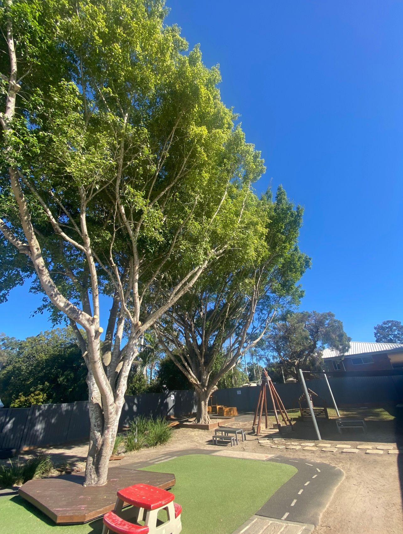 Sunny backyard with large trees, artificial turf, a swing set, and a small red toy car under a clear blue sky