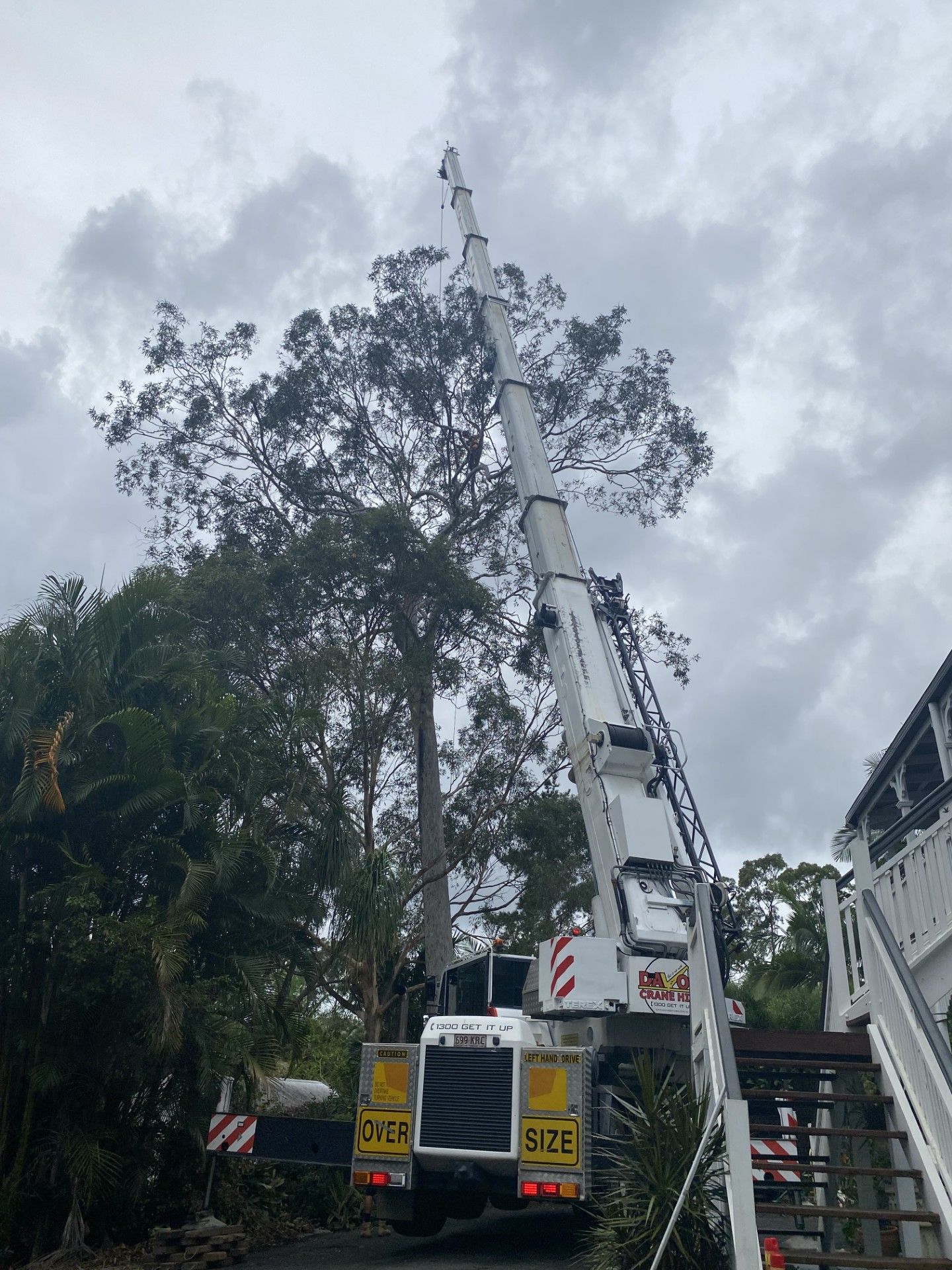 Tall crane truck lifting a long boom beside trees under a cloudy sky