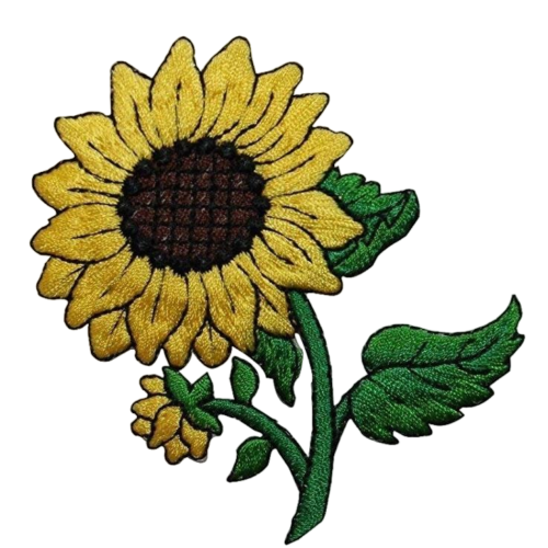 A yellow sunflower with green leaves on a white background A yellow sunflower with green leaves on a white background