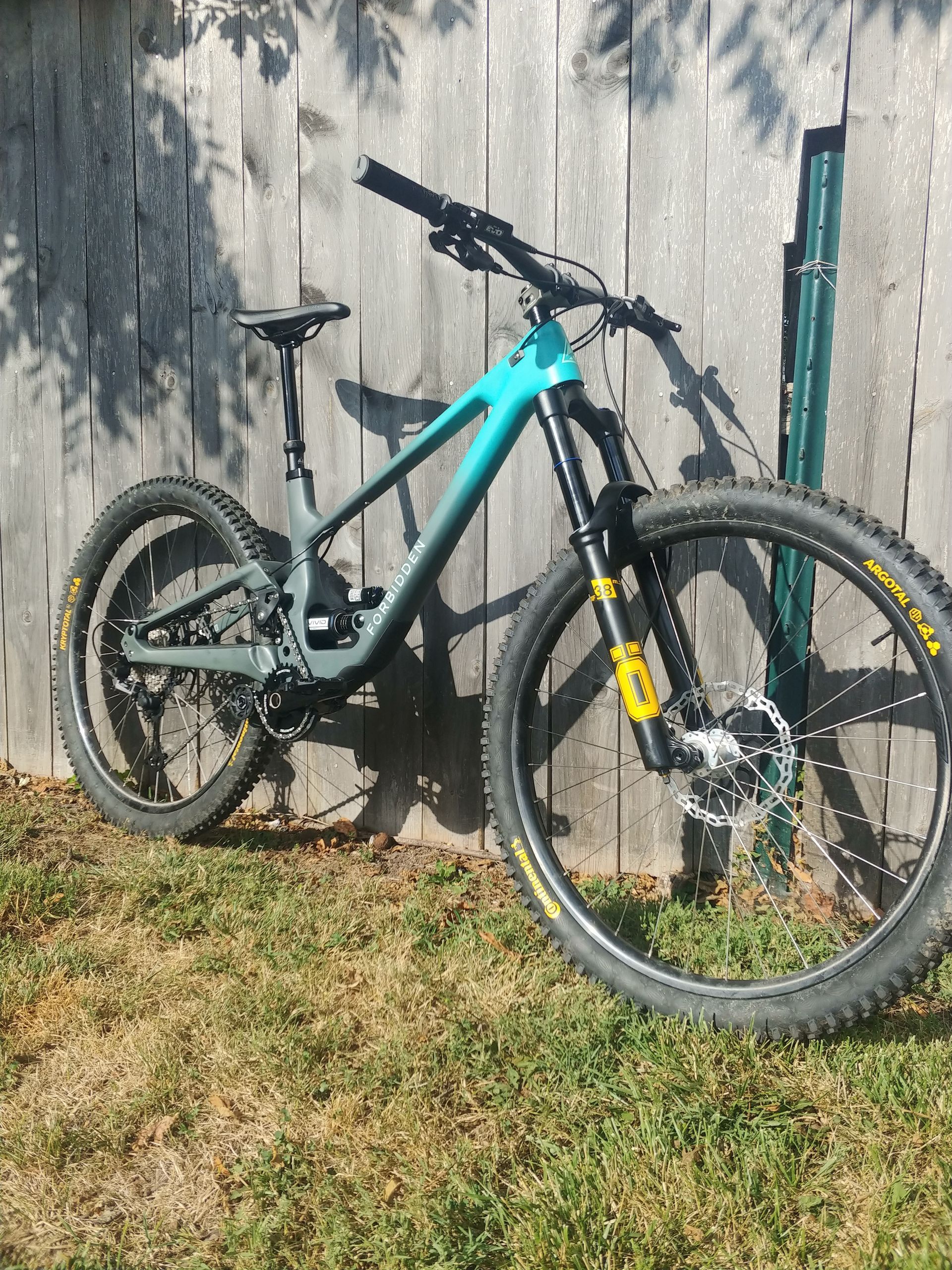 Teal mountain bike leaning against a weathered wooden wall in sunlight.