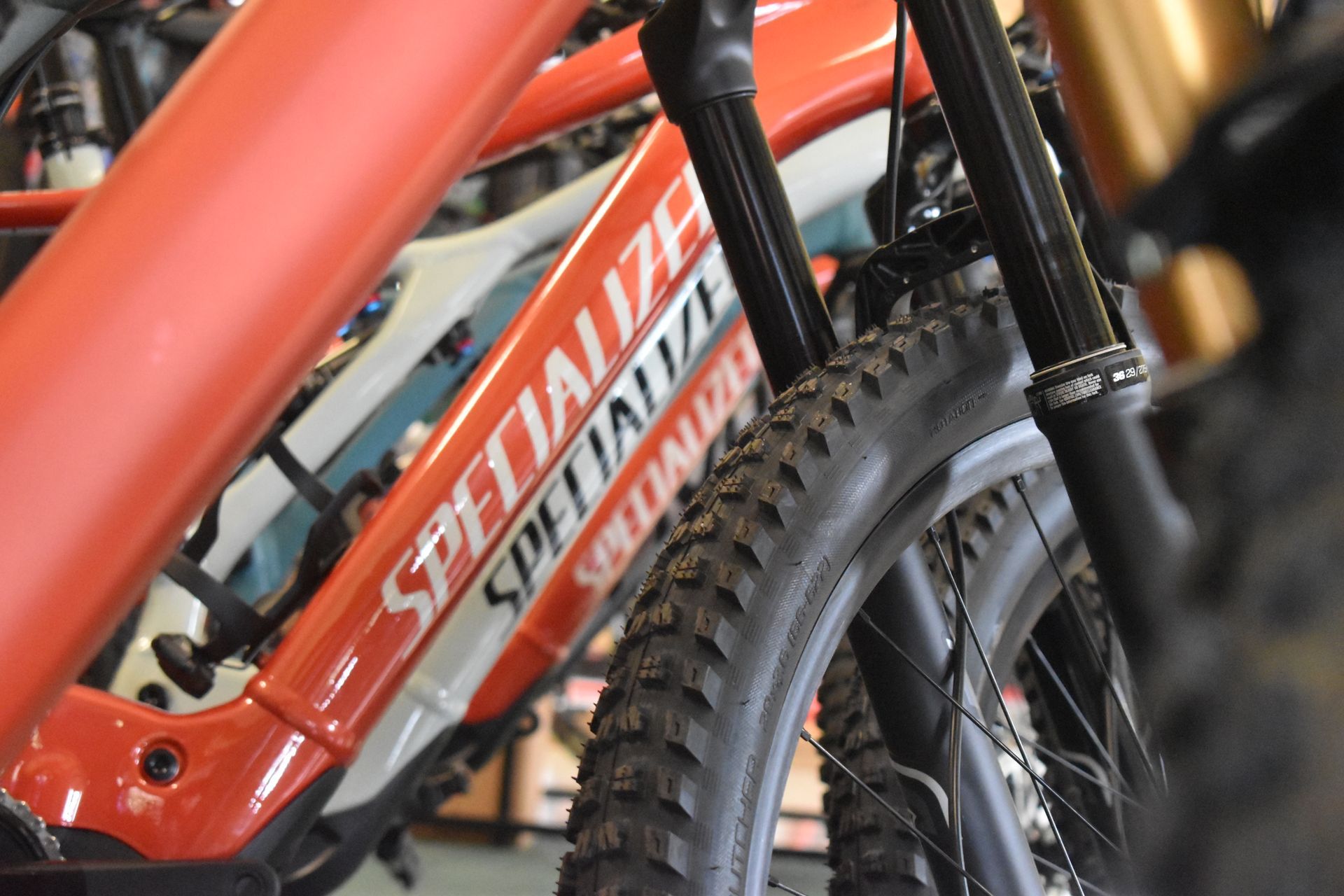 Close-up of an orange Specialized bicycle frame and rear wheel