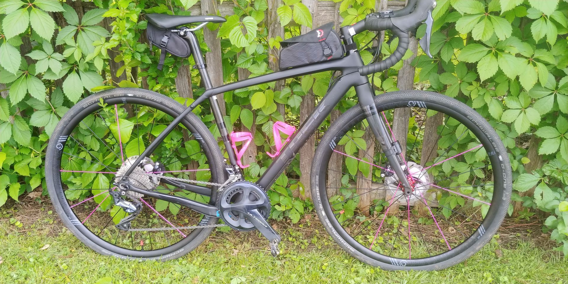 Black road bike with pink accents parked on grass in front of a fence and greenery
