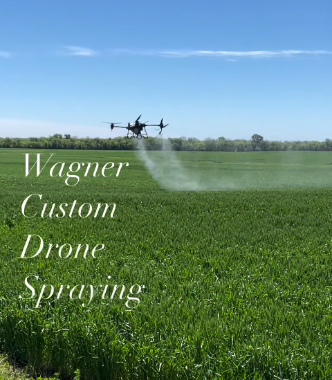 Drone spraying crops in a field, with forest in the background.
