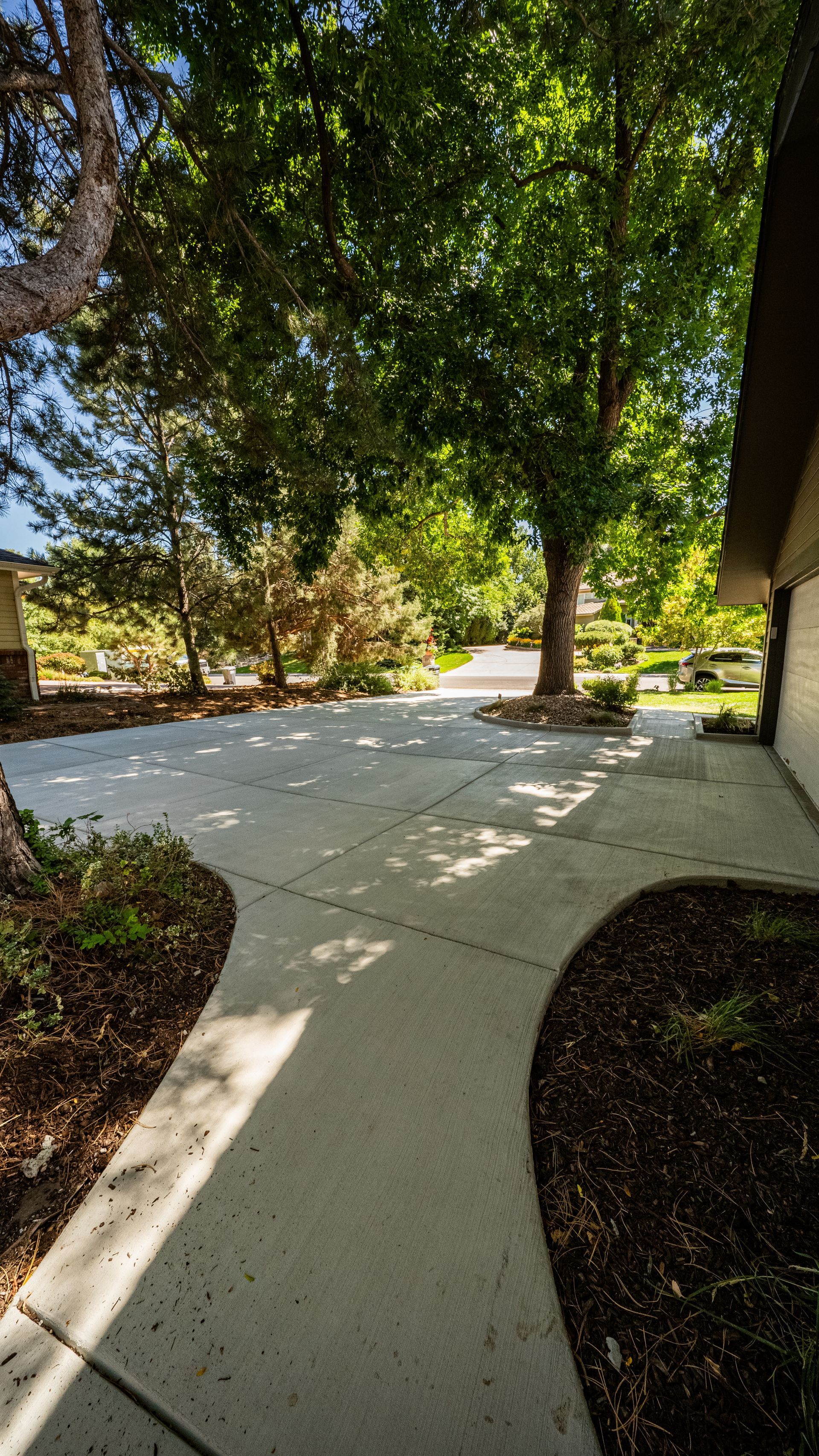 Curved concrete walkway under large green trees beside a building on a sunny day