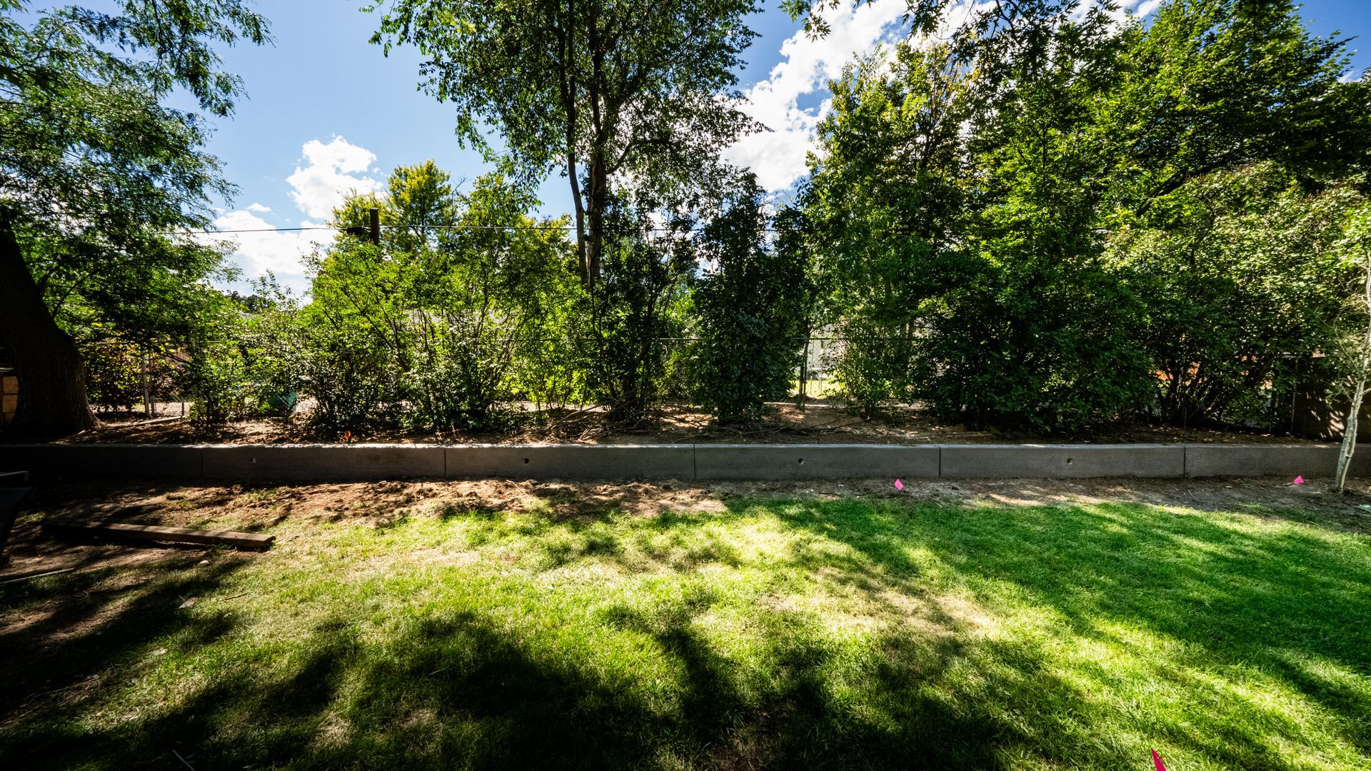 Sunny park path bordered by lush green trees and grass under a bright blue sky