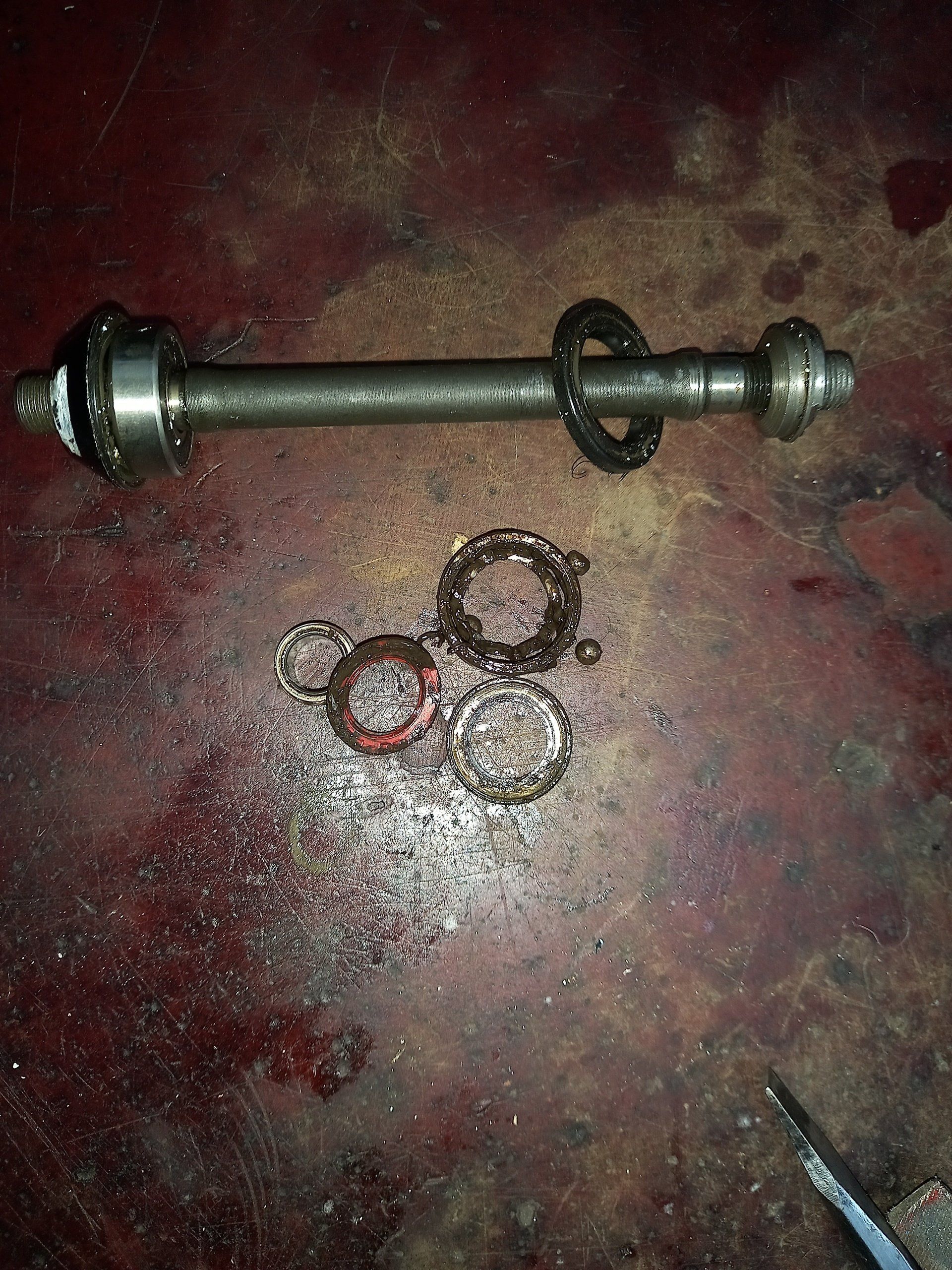 SPOKES