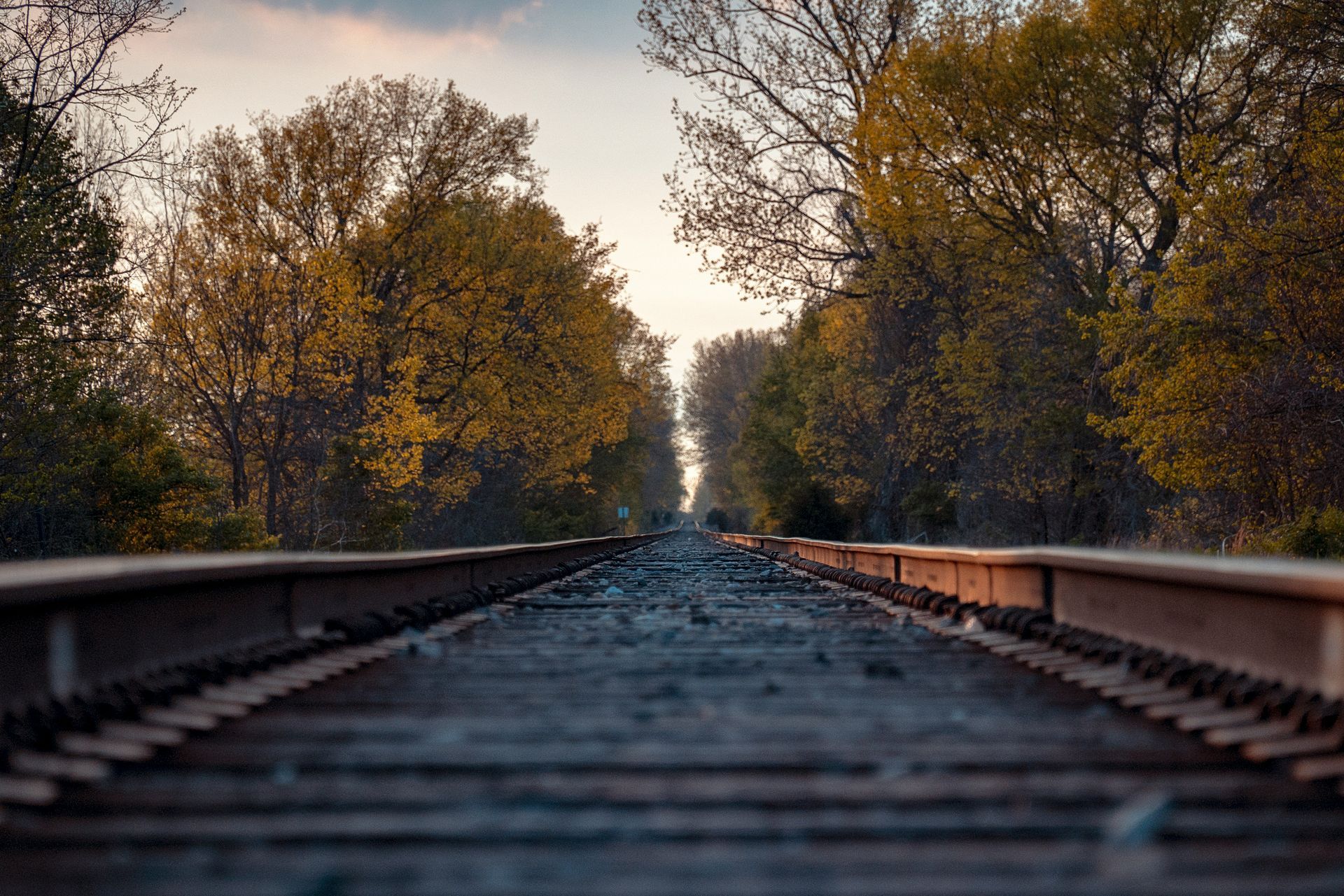 A train track going through a forest with trees on both sides.