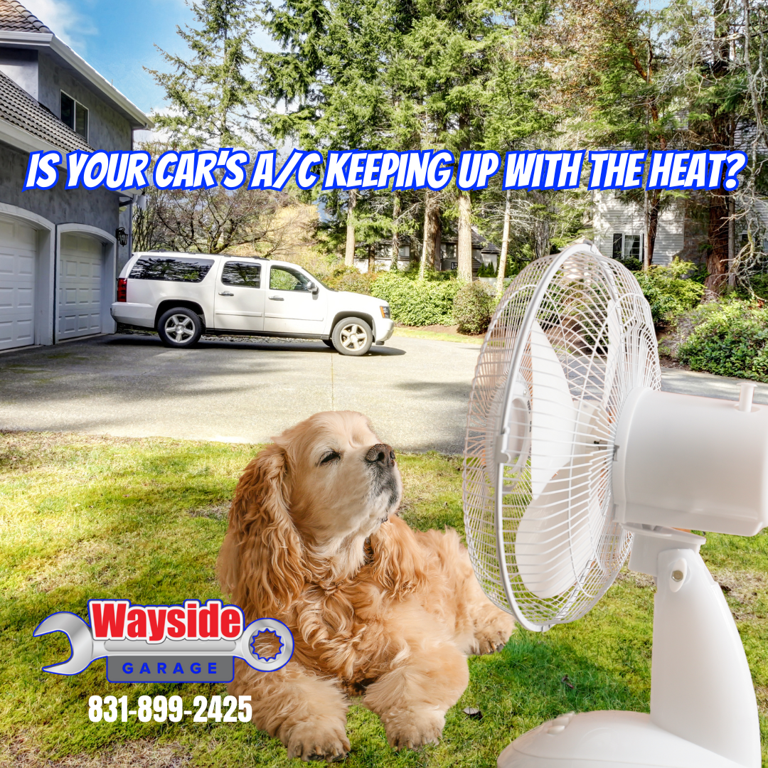 Golden retriever cooling off in front of a fan beside a parked SUV, illustrating the need for summer car A/C repair at Wayside Garage in Seaside, CA.