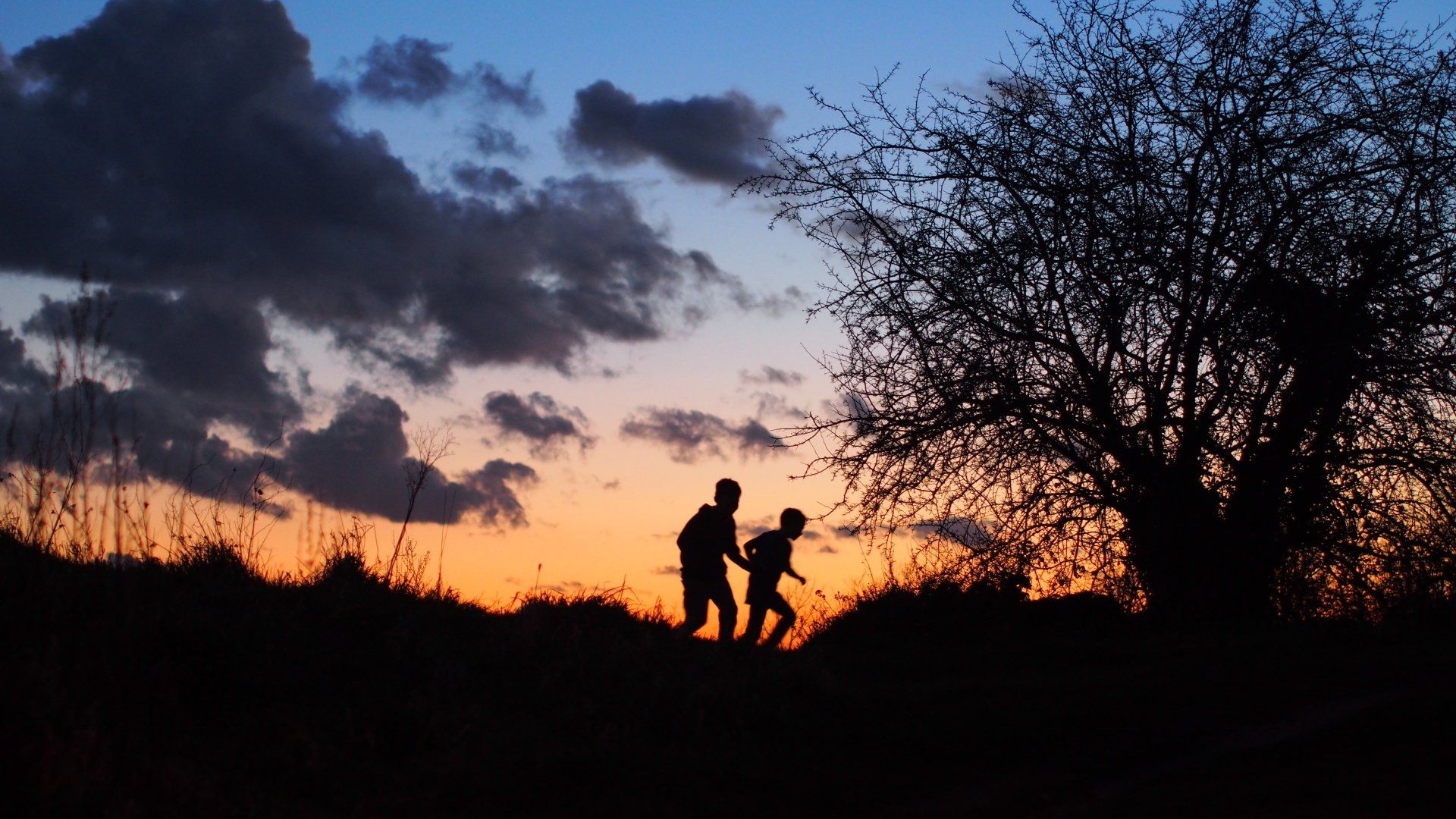 Two people silhouetted at sunset near a tree, with dark clouds and orange sky.