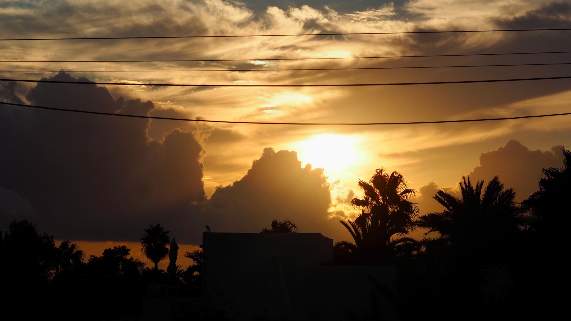 Sunset over dark palm trees and rooftops, with glowing clouds and power lines silhouetted in the sky