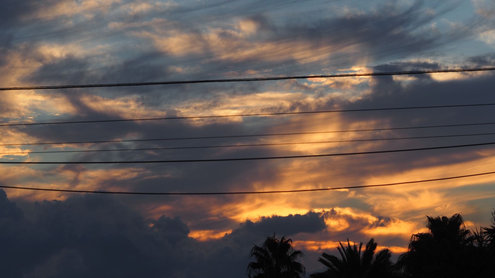 Orange sunset clouds over silhouetted trees and power lines