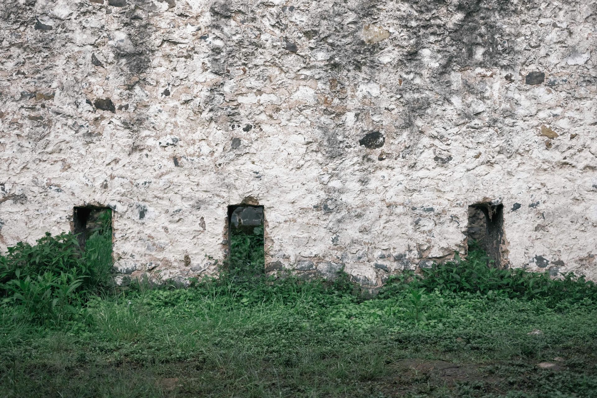 Weathered white stone wall with three small rectangular openings above green grass