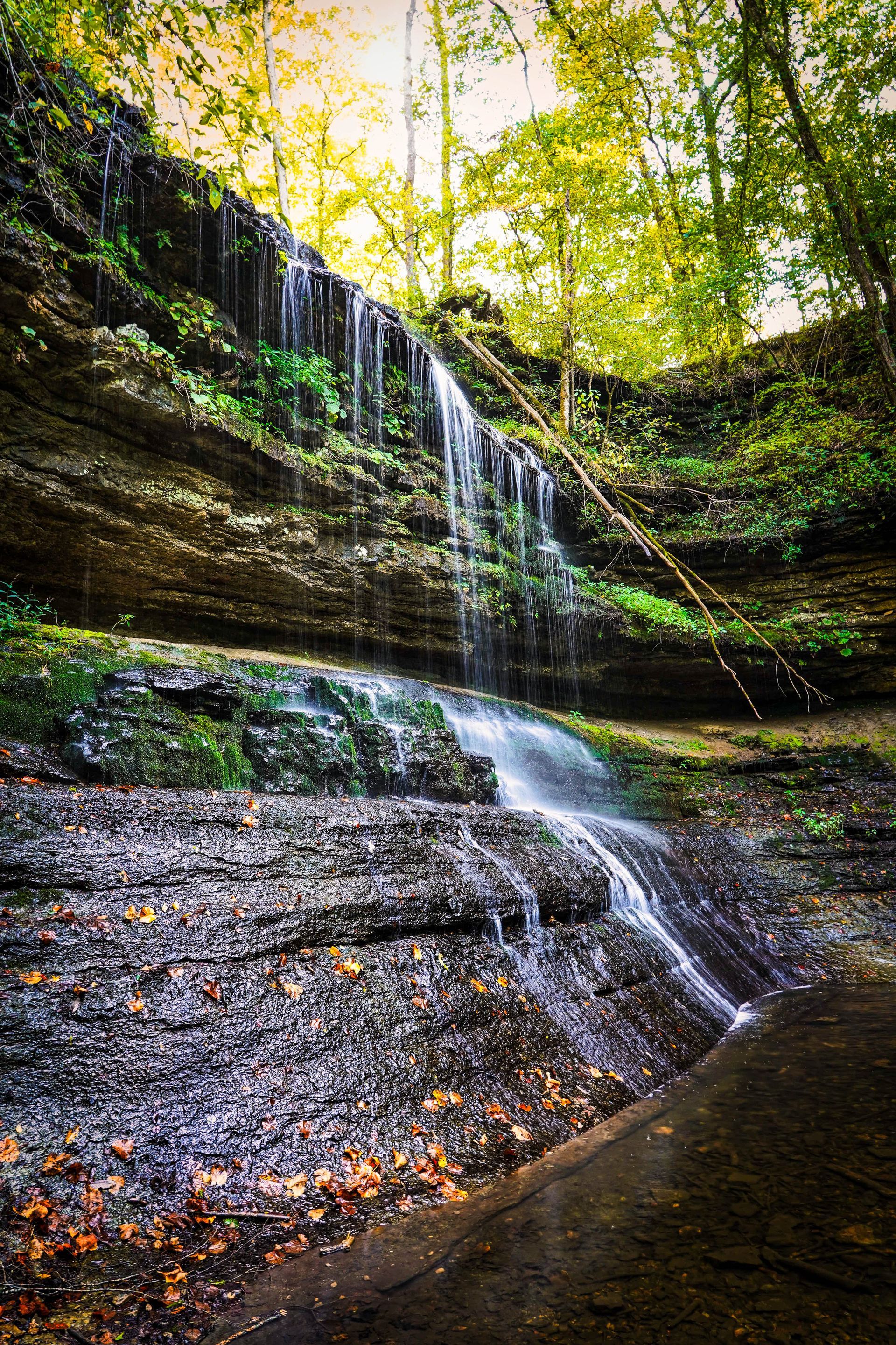 Small waterfall cascading over layered rock in a lush green forest stream