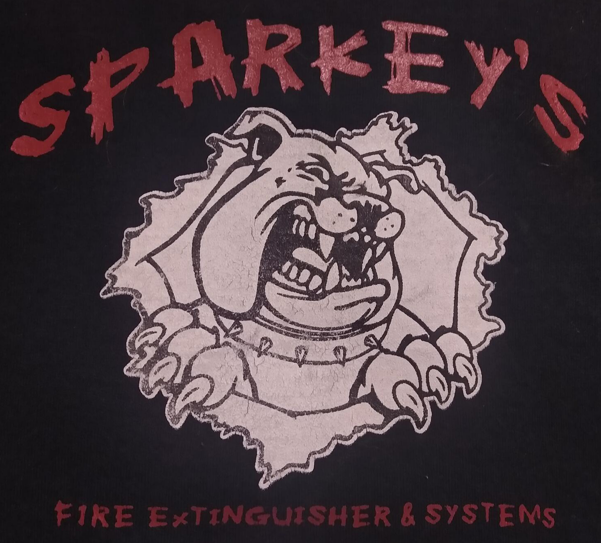 Sparkey's Fire Extinguisher & Systems