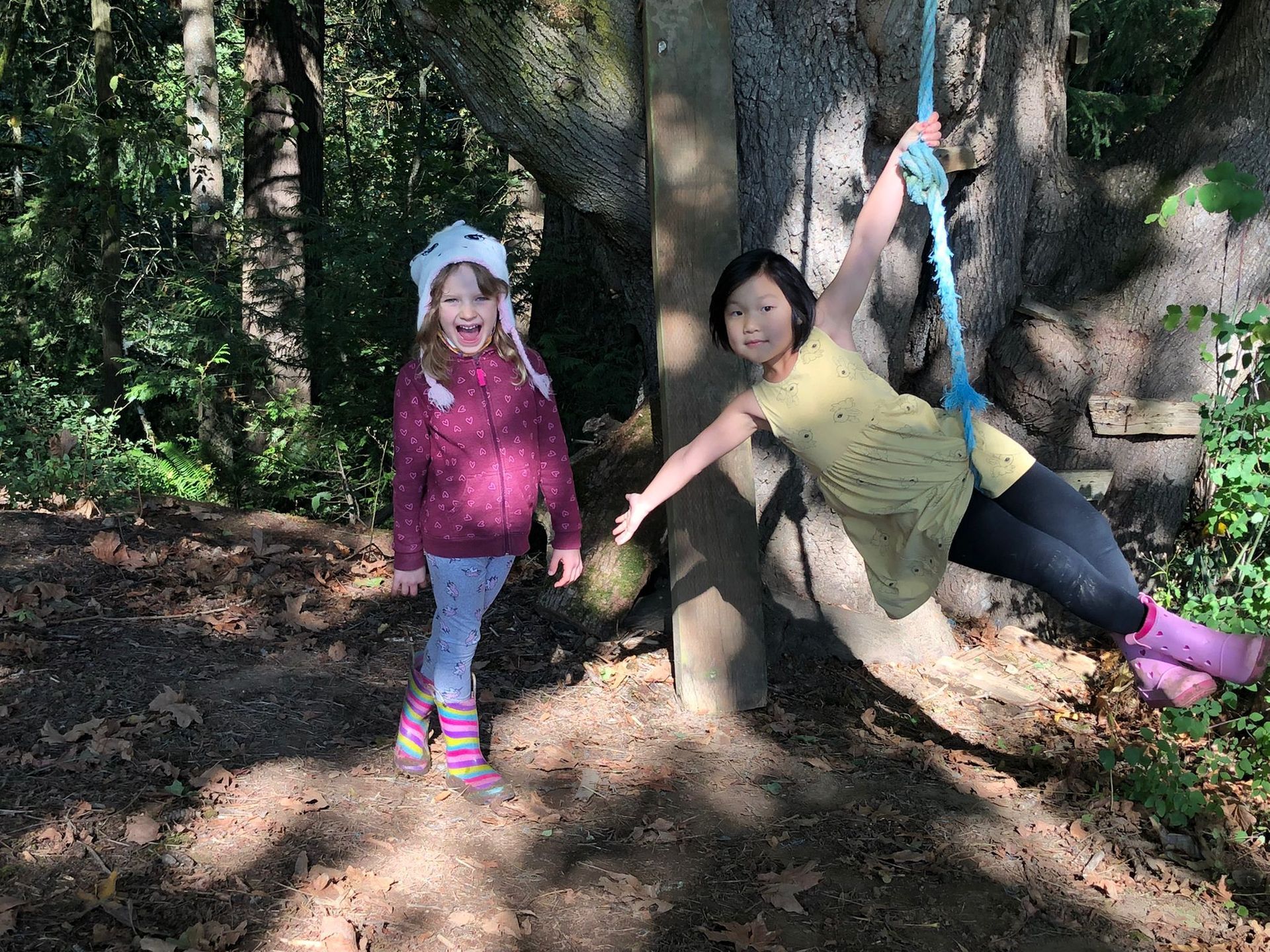 Two little girls are playing on a swing in the woods.