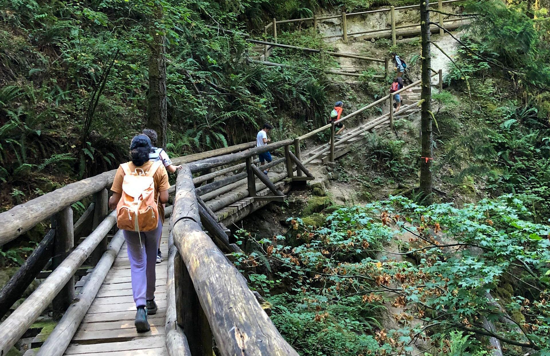 A line of kids walking across a wooden bridge in the woods.