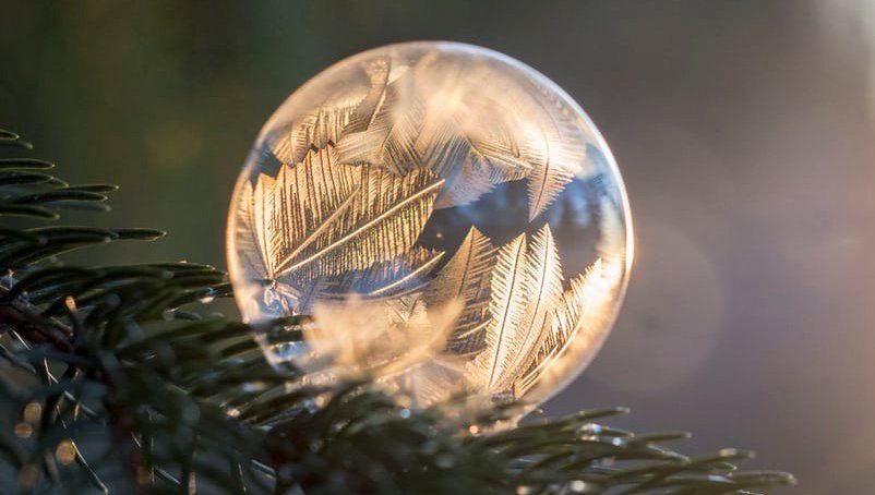 Clear glass ornament with frosty leaf pattern on evergreen branches in warm sunlight