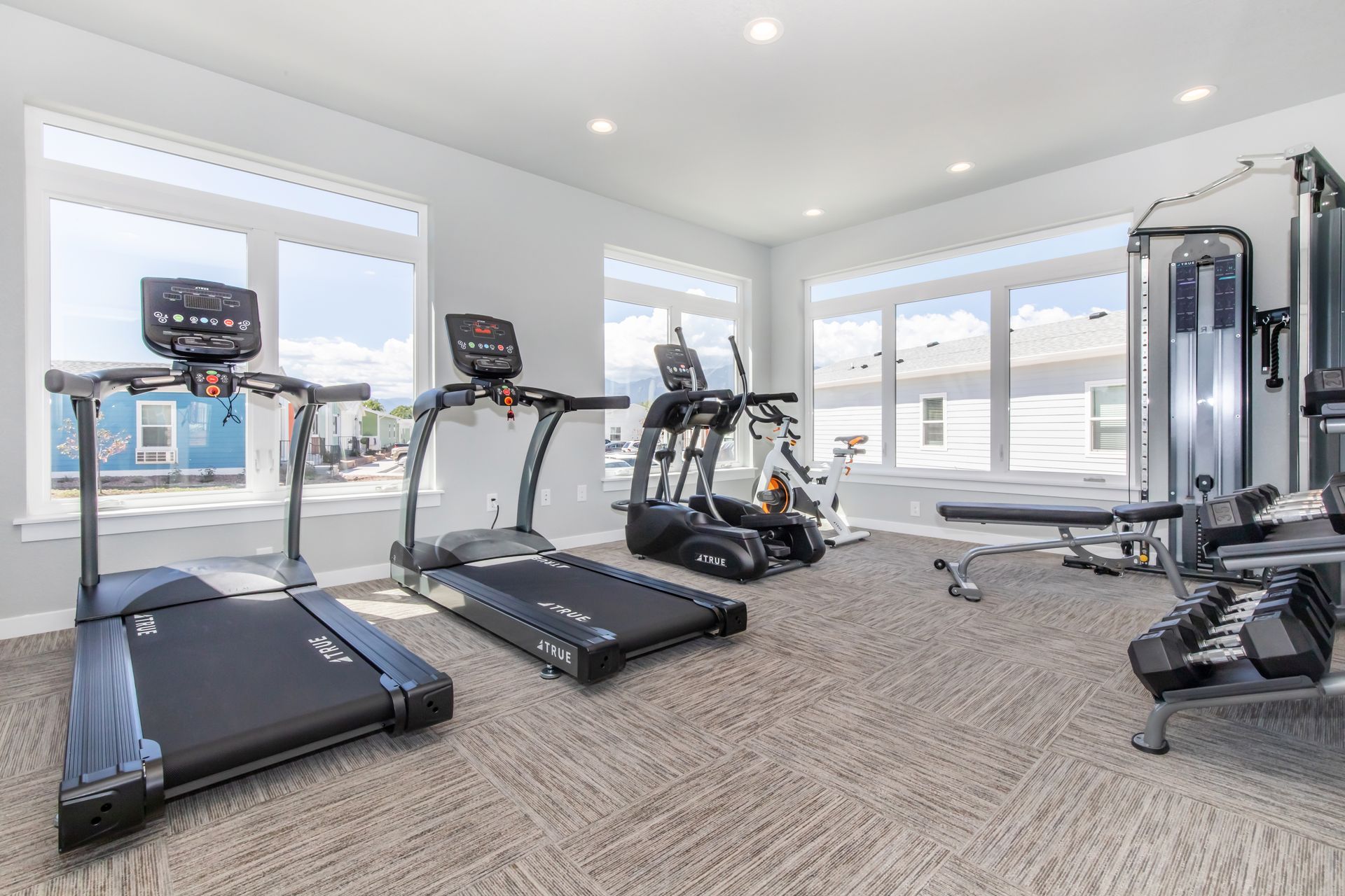 Bright home gym with treadmills, an exercise bike, and weight machines by large windows