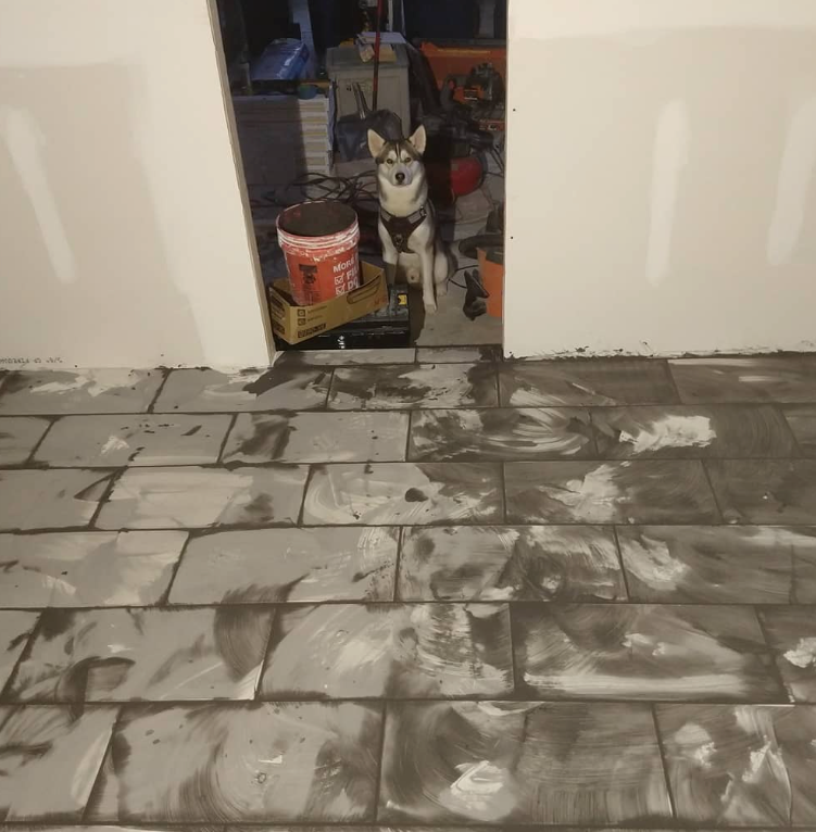 Dog in doorway of a room with slate tile flooring covered in mortar and construction materials.