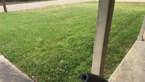 Grassy lawn beside a concrete sidewalk, with a wooden post in the foreground.