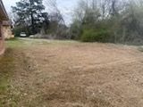 Open grassy yard beside a house, with trees and brush in the background.