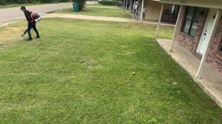 Person using a leaf blower on a grassy front lawn beside a brick house.