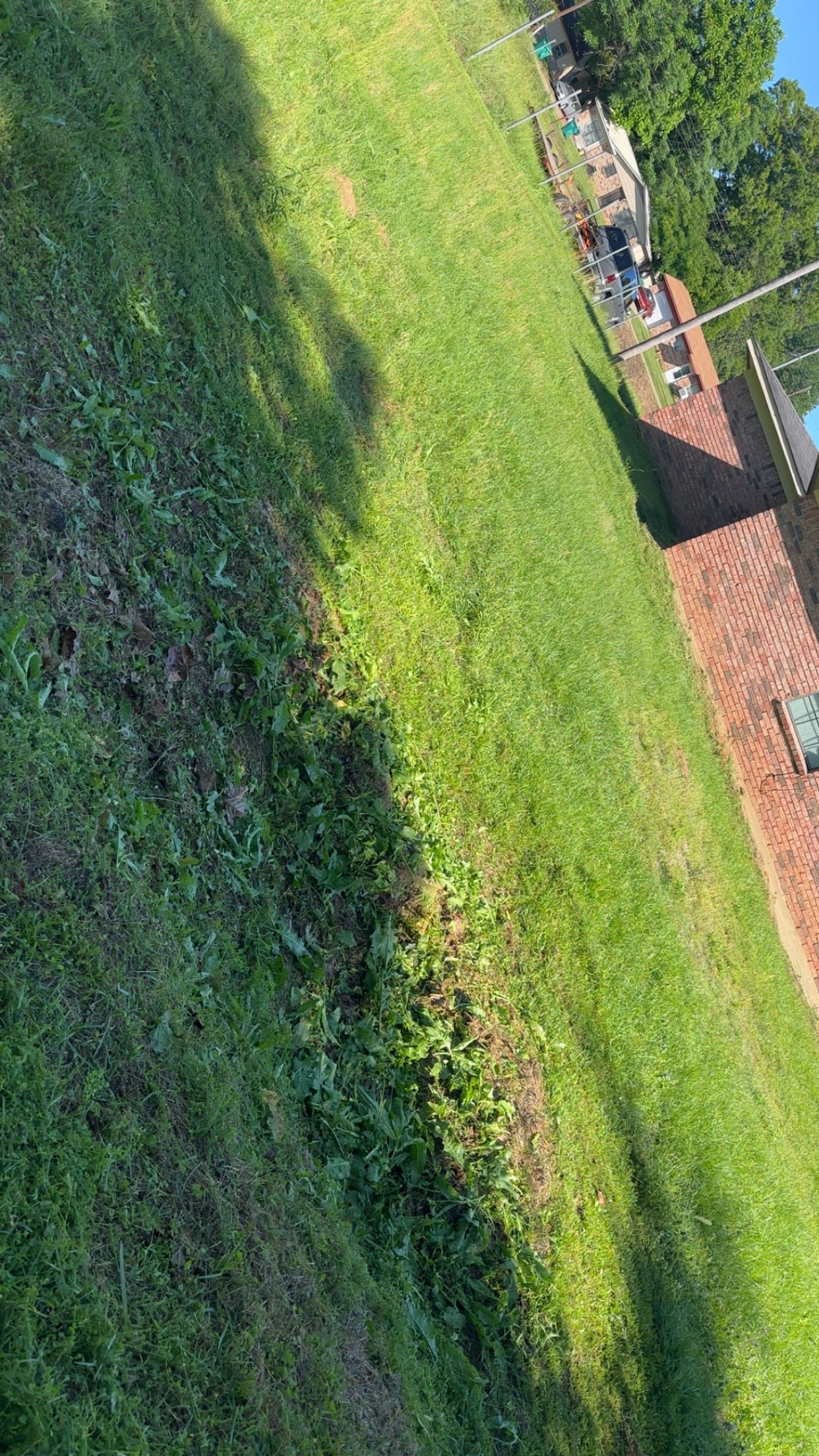Sloped grassy yard beside a red-roofed house, with bright sun and tree shadows