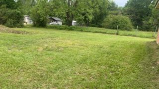 Grassy yard with trees and a house in the background on a cloudy day